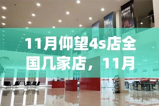 11月仰望4S店全国布局及拓展增长轨迹