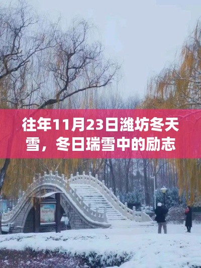 冬日瑞雪中的励志篇章，潍坊雪日学习变化，自信成就人生之路