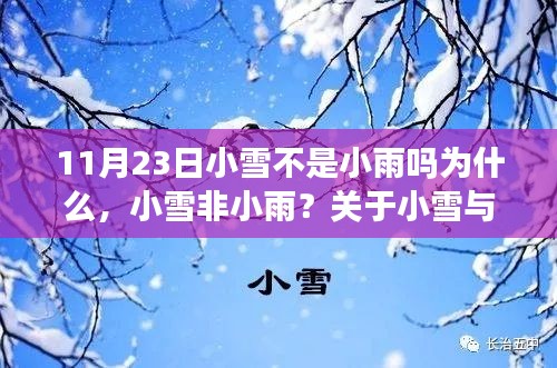 关于小雪与气候特性的深度测评，为何小雪并非小雨？揭秘小雪背后的气候特点。