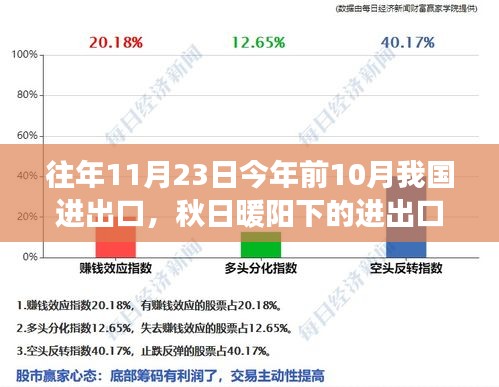 秋日暖阳下的进出口奇遇，友情与陪伴的温馨故事，历年进出口回顾与今年新篇章