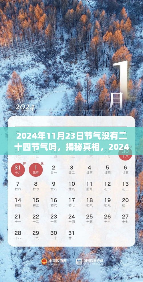 揭秘真相，探索二十四节气与揭秘2024年11月23日节气之谜