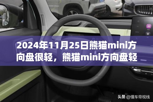 熊猫mini方向盘轻巧灵活，驾驶新体验（2024年11月25日）