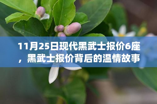 黑武士报价背后的温情故事，一家人欢乐日常的现代生活记录