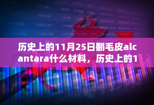 历史上的11月25日翻毛皮Aalcantara材料深度解析与解析