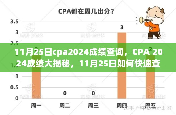 CPA 2024考试成绩查询指南，11月25日快速查分及成绩大揭秘