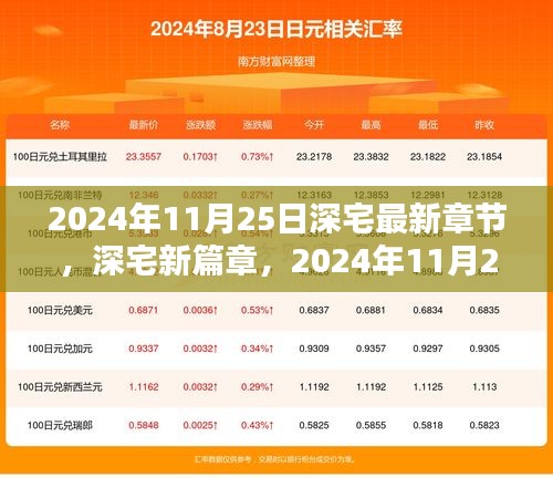 深宅最新篇章，2024年11月25日章节深度评测与介绍