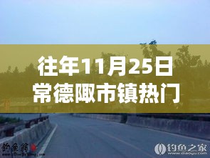 常德陬市镇热门消息全攻略，揭秘往年11月25日时事热点