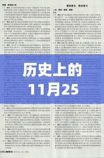 历史上的回响，探究白萱汪泽洋事件及其影响在11月25日的热门章节回顾