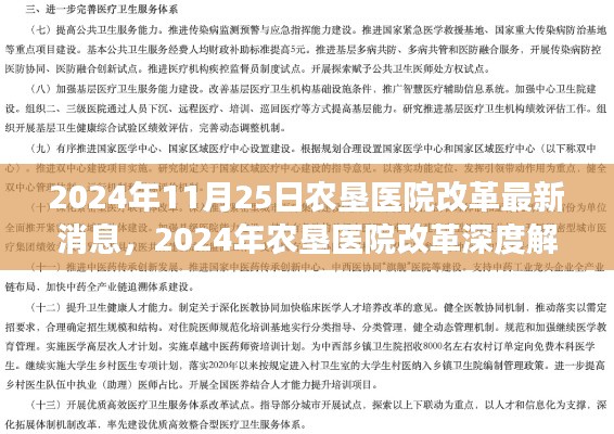 农垦医院改革深度解读，最新消息与未来展望（2024年）