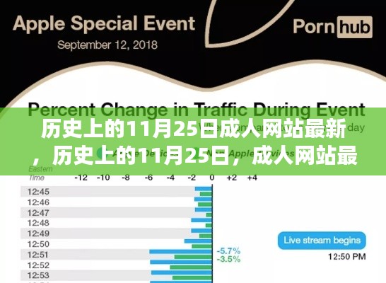 历史上的11月25日成人网站最新，历史上的11月25日，成人网站最新动态深度评测