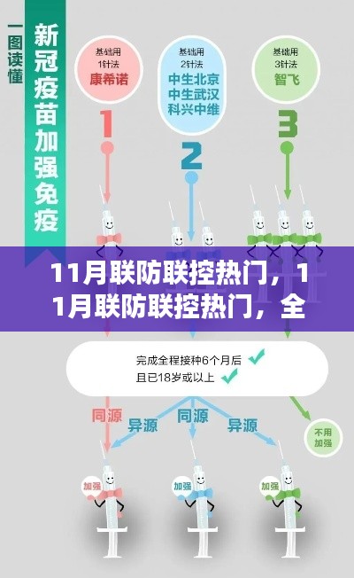 全面评测与深度介绍，11月联防联控热门机制