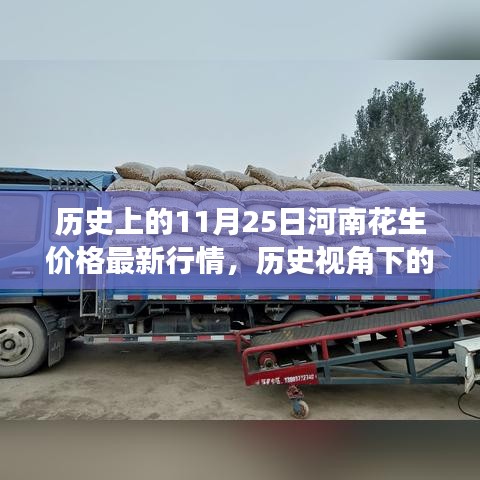 揭秘河南花生价格走势，历史视角下的最新行情分析（11月25日）