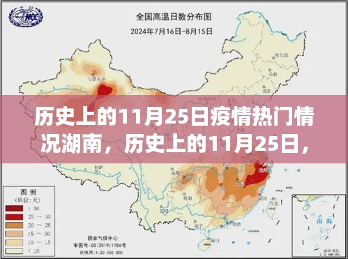 湖南疫情回顾，历史上的11月25日热门情况分析