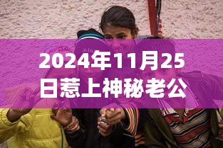 内训核心 第284页