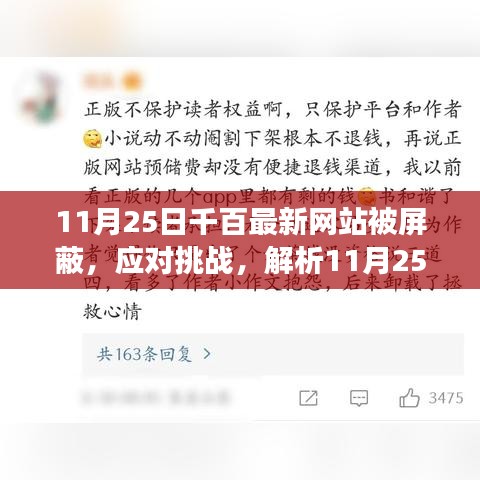 应对挑战，解析千百最新网站被屏蔽事件及恢复网络访问指南