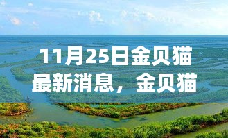 金贝猫自然探秘之旅，寻找内心平静的奇妙旅行记最新消息（11月25日）