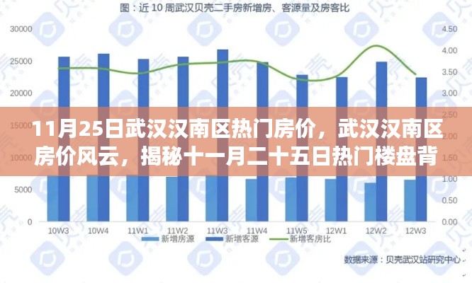 揭秘武汉汉南区房价风云，揭秘十一月二十五日热门楼盘背后的故事与影响