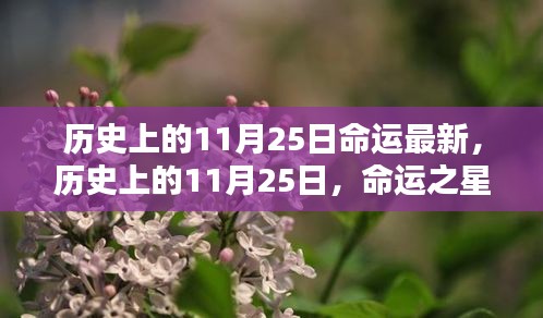 历史上的11月25日，命运之星闪耀时刻回顾