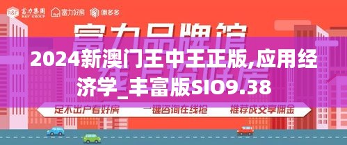 2024新澳门王中王正版,应用经济学_丰富版SIO9.38