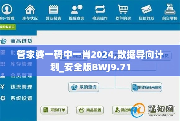 管家婆一码中一肖2024,数据导向计划_安全版BWJ9.71