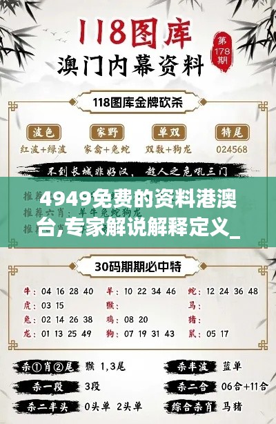 4949免费的资料港澳台,专家解说解释定义_光辉版QQB9.79