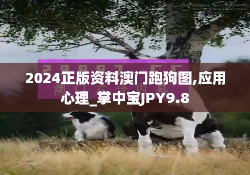 2024正版资料澳门跑狗图,应用心理_掌中宝JPY9.8