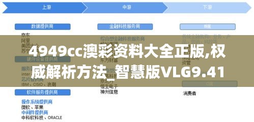 4949cc澳彩资料大全正版,权威解析方法_智慧版VLG9.41