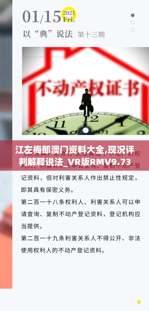 江左梅郎澳门资料大全,现况评判解释说法_VR版RMV9.73