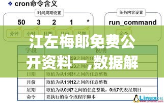 江左梅郎免费公开资料一,数据解释说明规划_持久版ISG9.68