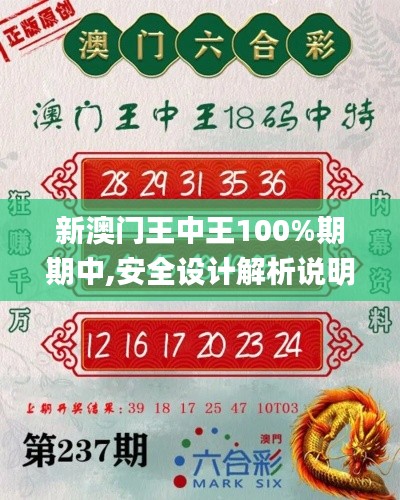 新澳门王中王100%期期中,安全设计解析说明法_多功能版QBA9.61