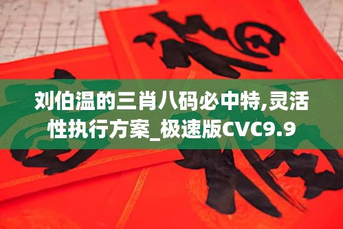 刘伯温的三肖八码必中特,灵活性执行方案_极速版CVC9.9