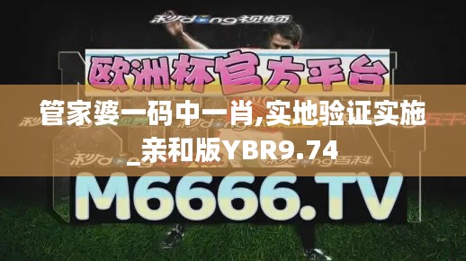 管家婆一码中一肖,实地验证实施_亲和版YBR9.74