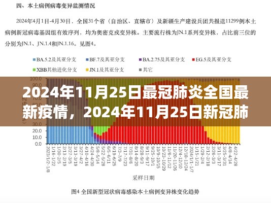 某某视角下的新冠肺炎全国最新疫情分析，2024年11月25日报告