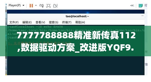 7777788888精准新传真112,数据驱动方案_改进版YQF9.22