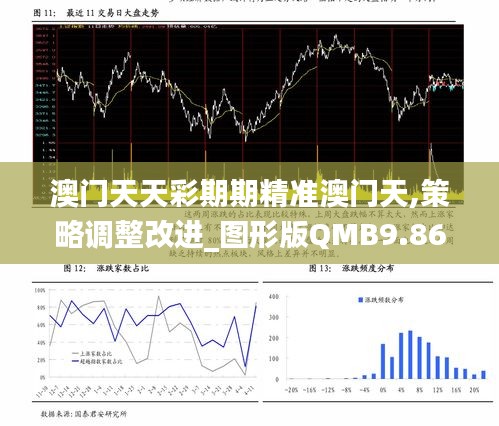 澳门天天彩期期精准澳门天,策略调整改进_图形版QMB9.86