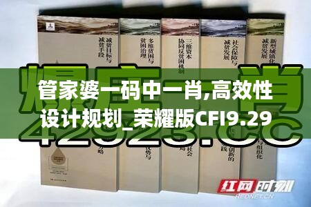 管家婆一码中一肖,高效性设计规划_荣耀版CFI9.29