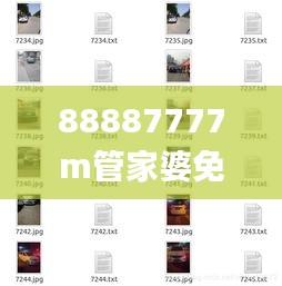 88887777m管家婆免费,实地观察解释定义_领航版SED9.51