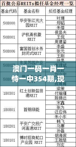 澳门一码一肖一恃一中354期,现况评判解释说法_互动版UVV9.13