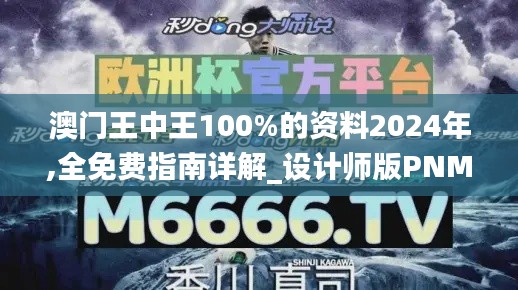 澳门王中王100%的资料2024年,全免费指南详解_设计师版PNM9.57