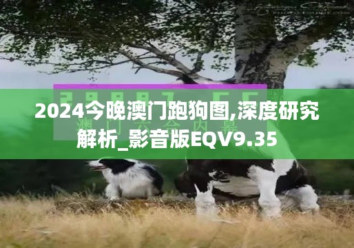 2024今晚澳门跑狗图,深度研究解析_影音版EQV9.35