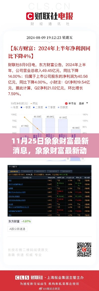 象象财富最新动态解析与深度评测，11月25日最新消息