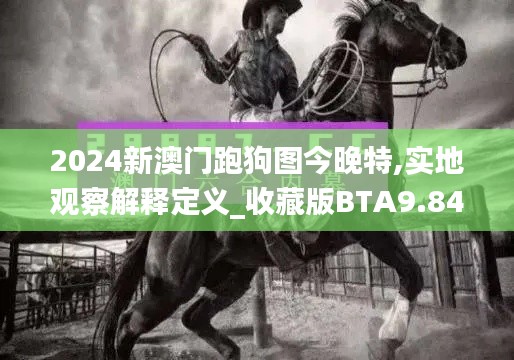 2024新澳门跑狗图今晚特,实地观察解释定义_收藏版BTA9.84