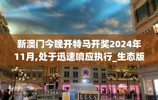 新澳门今晚开特马开奖2024年11月,处于迅速响应执行_生态版NZS9.3