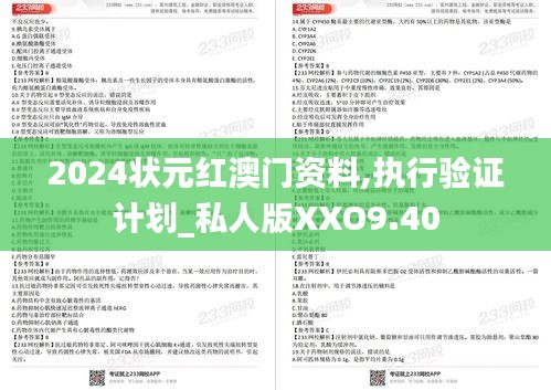 2024状元红澳门资料,执行验证计划_私人版XXO9.40