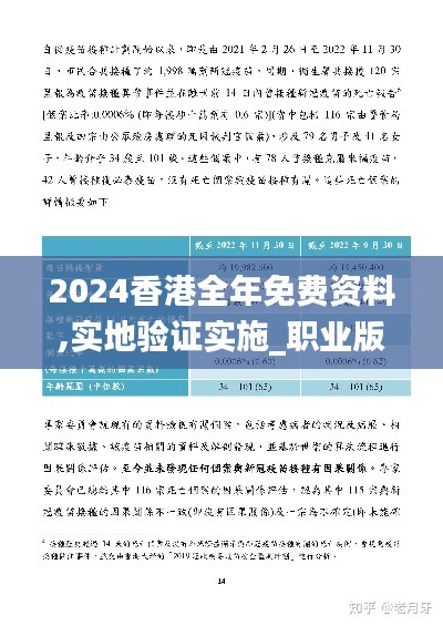 2024香港全年免费资料,实地验证实施_职业版RMX9.93