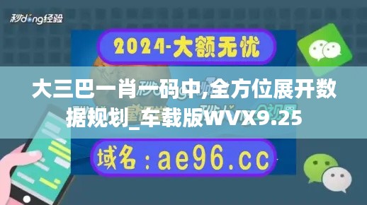 大三巴一肖一码中,全方位展开数据规划_车载版WVX9.25