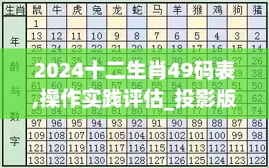 2024十二生肖49码表,操作实践评估_投影版JQZ9.87