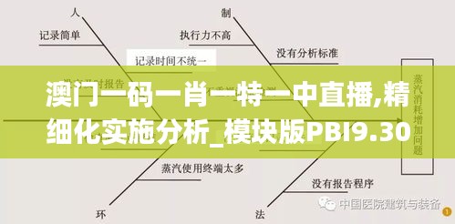 澳门一码一肖一特一中直播,精细化实施分析_模块版PBI9.30