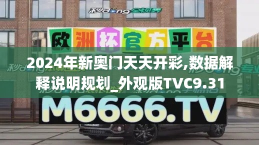 2024年新奥门天天开彩,数据解释说明规划_外观版TVC9.31