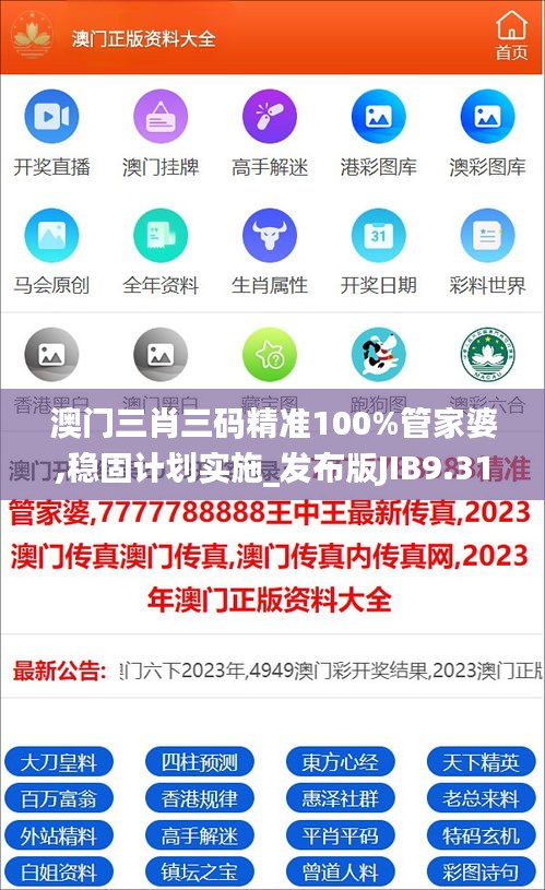 澳门三肖三码精准100%管家婆,稳固计划实施_发布版JIB9.31